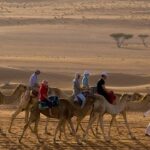 Wahiba sands