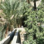 Falaj