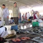 Fish Souk