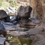 Snake Canyon