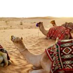 Wahiba Sands