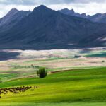Zagros mountain